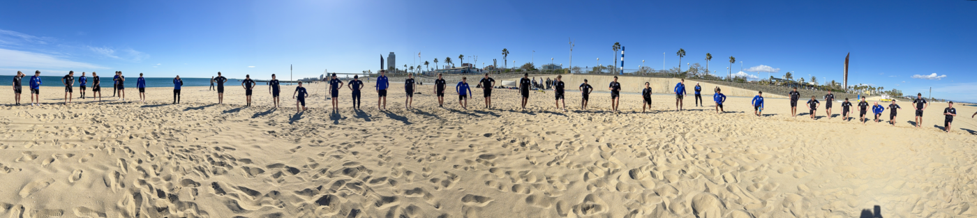 Oliveo selectie Panorama Barcelona-2026