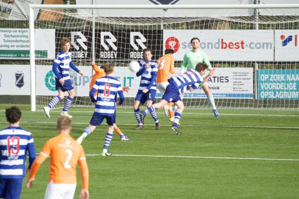 Oliveo Alphia actie foto